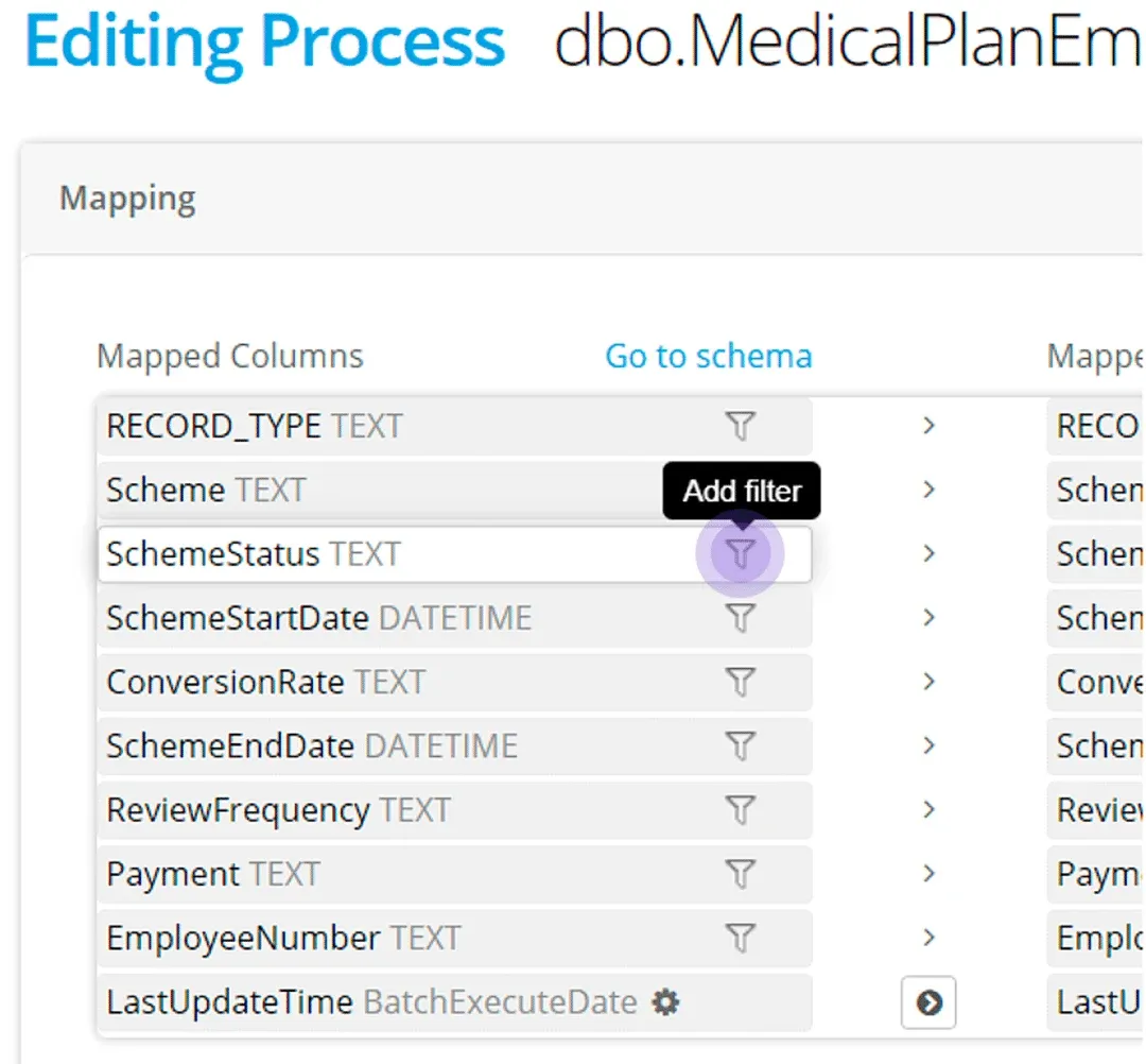 Editing Process Mapping panel: the filter icon on the SchemeStatus TEXT mapped column is highlighted with the Add filter tooltip