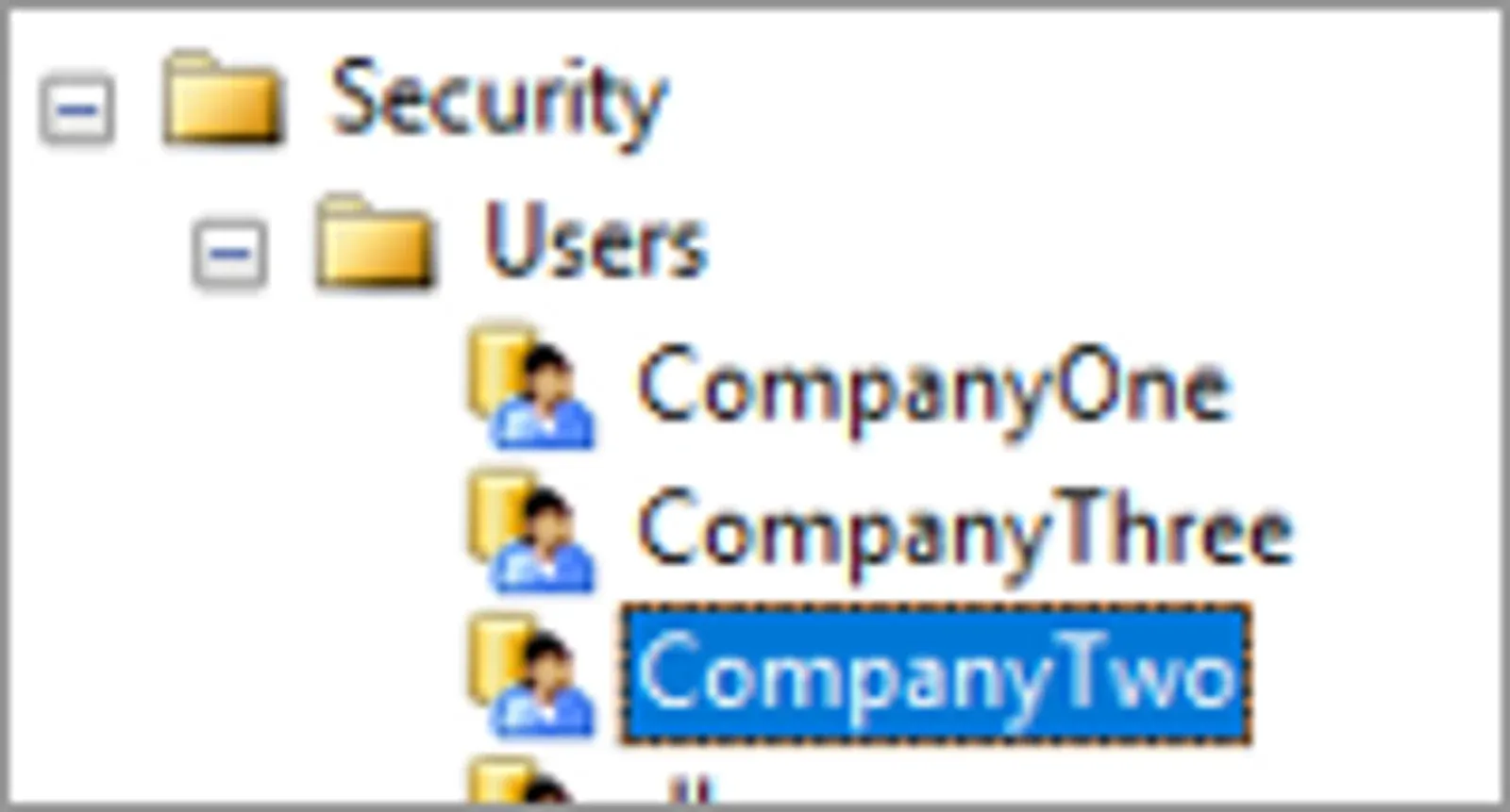 Database Security > Users tree listing CompanyOne, CompanyThree and CompanyTwo, with CompanyTwo selected